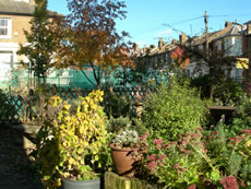 View of Community Garden, W3