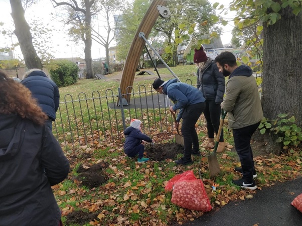 Bulb planting at St Paul's