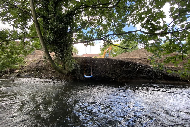 A tree by a waterbank under threat in a local park 