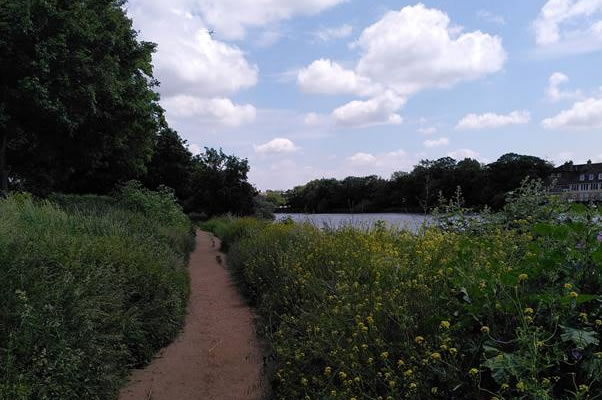 Thames Path at Dukes Meadows