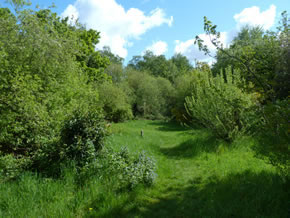 Gunnersbury Triangle