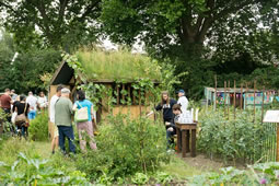 Northfields Allotments Holding Sixth Annual Summer Open Day