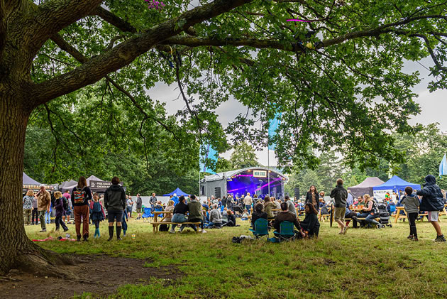The second afternoon of the Ealing Blues Festival in Walpole Park
