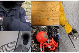 CCTV Used to Nab Motor Vehicle Theft Suspect