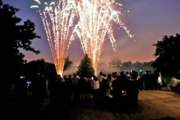 Annual Display Returns to Ealing Cricket Club 