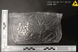 Police Seize Drugs in