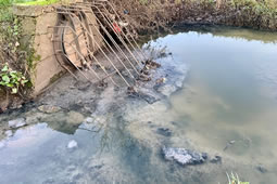 Investigation Reveals Locations of Misconnected Sewers