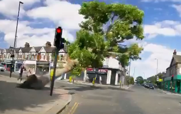 Moment Tree Falls Down in Ealing Caught on Camera