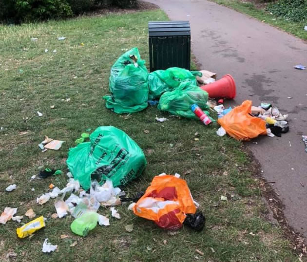 fox attack rubbish bin pitshanger