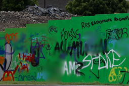 Council Condemns Racist Graffiti at Gurnell Building Site