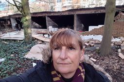 Lib Dems Blame Council After Hanger Lane Wall Collapse