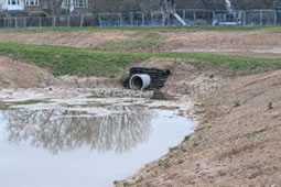Council Meeting Sees Heated Debate on Lammas Park Ponds