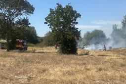 Wildfire Warnings Underscored by Blaze at Pear Tree Park