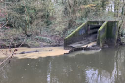 Two Local Housing Developments Flushing Sewage into River Brent