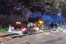 New Appeal on Anniversary of Fatal Uxbridge Road Crash