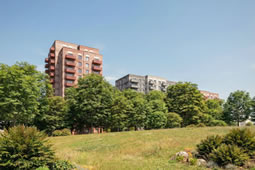 Revised Trumpers Way Plan Switches to 100% Affordable