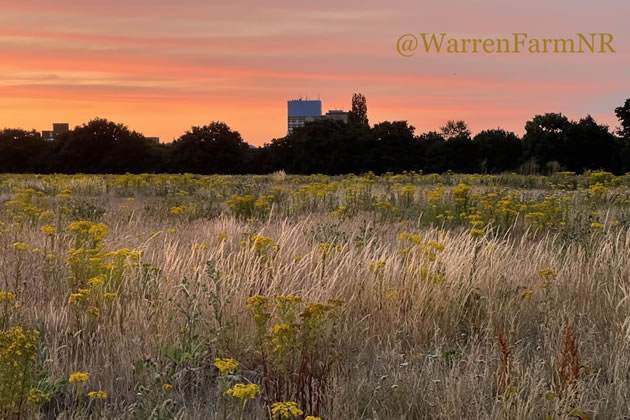 Council says that over half the site will become a nature reserve 