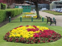 Flower Beds