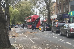 Mayor Rejects Call to Pause New Floating Bus Stops