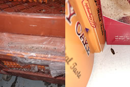 Bakery and Butcher Fined Over Serious Hygiene Failings