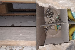 Rats Found at Two Sites of Park Royal Food Supplier