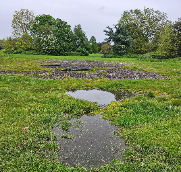 The campaigners say that damage to the park is not being properly repaired