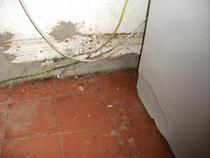 Mouse droppings on kitchen floor at Wong's