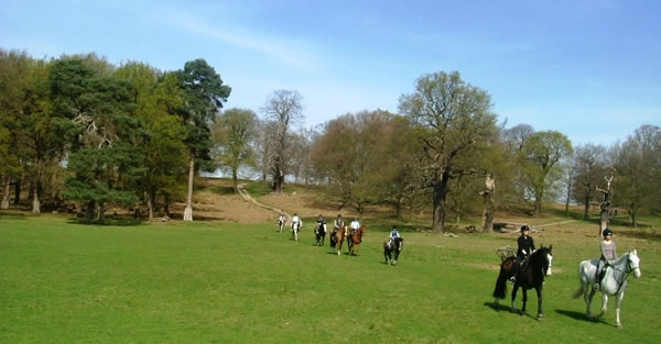 Wimbledon Common